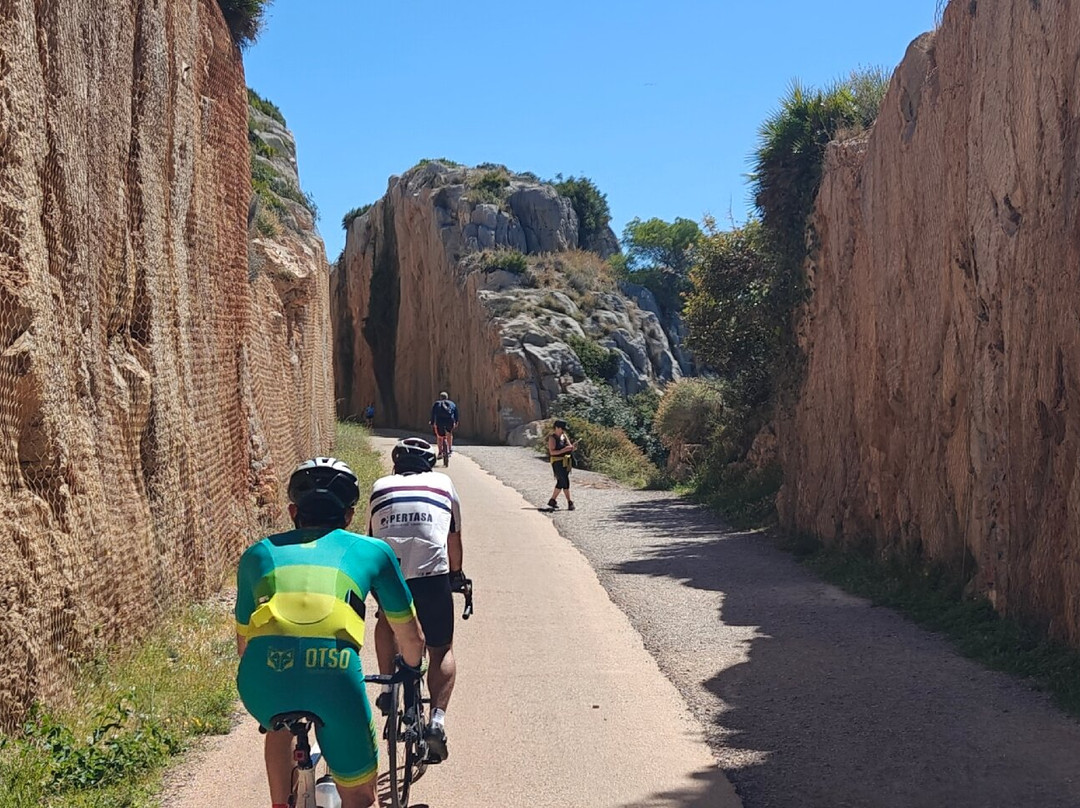 The Via Verde Green Route-贝尼卡西姆必去景点