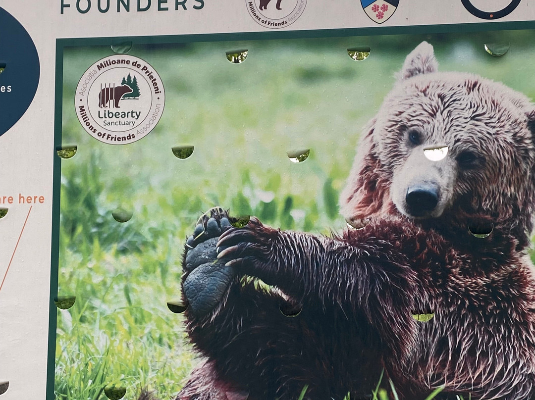 Libearty Bear Sanctuary Zarnesti-Zarnesti必去景点