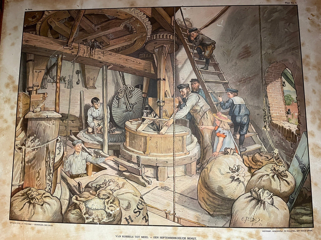 Koren- En Mosterdmolen de Verwachting-Hollum必去景点