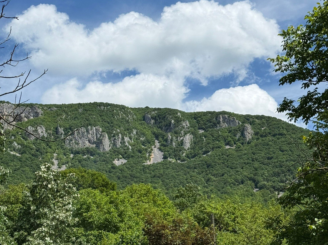 Serbia Inspired Tours-贝尔格莱德必去景点