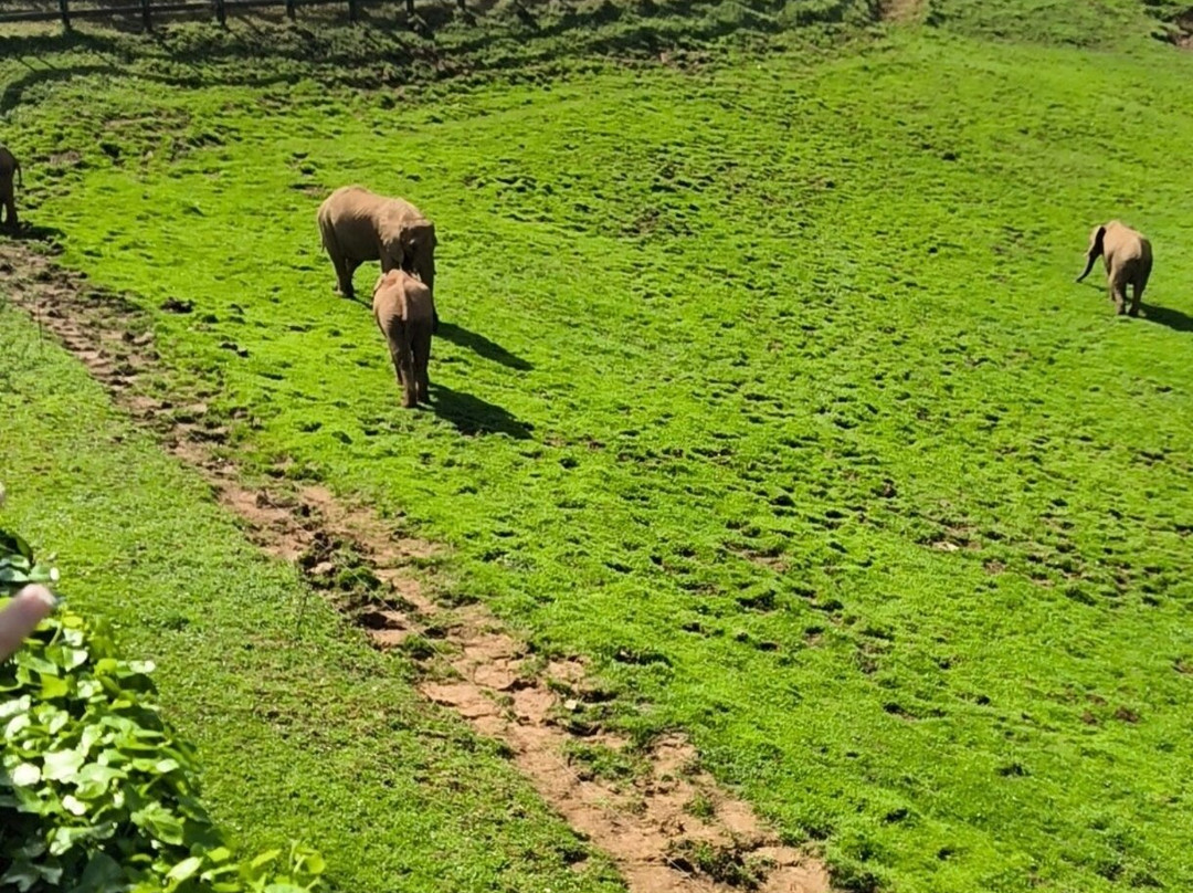 Parque de la Naturaleza de Cabarceno-Obregon必去景点