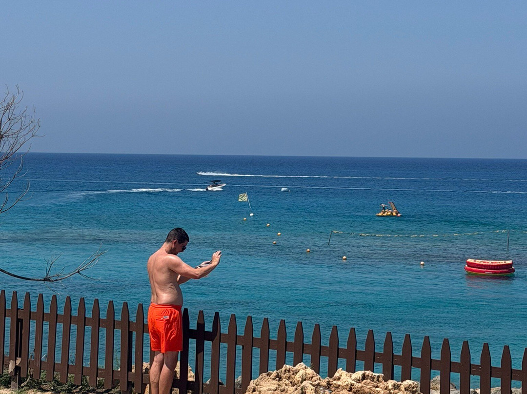 Fig Tree Bay Beach-普它肋斯必去景点