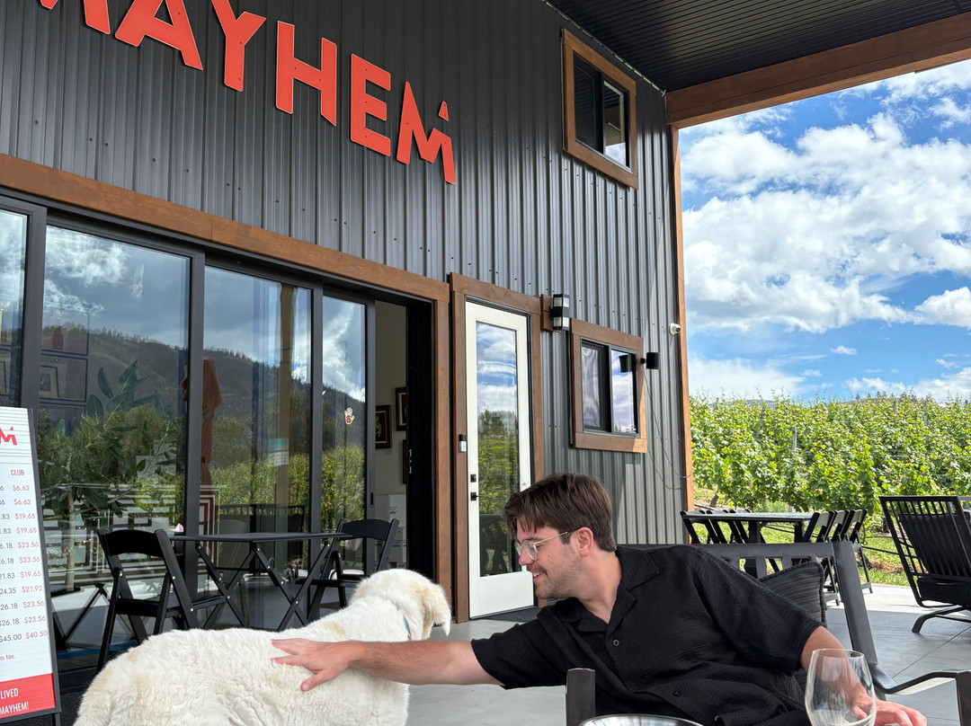 Mayhem Wines-Okanagan Falls必去景点