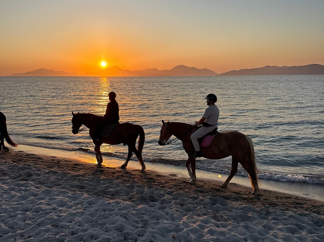 Salt Lake Stables-Marmari必去景点