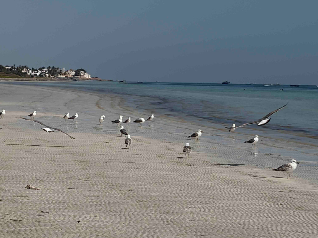 Sangho Beach-Zarzis必去景点
