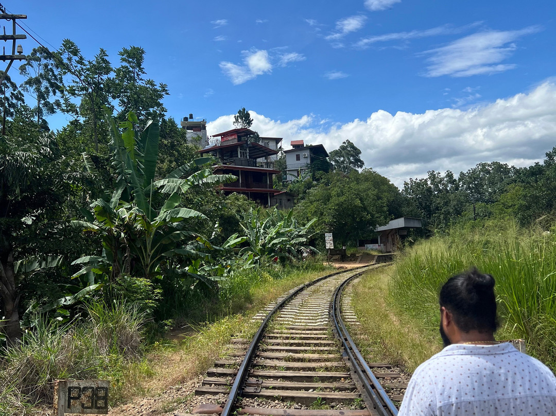 Lanka Tour Driver-Hingurakgoda必去景点
