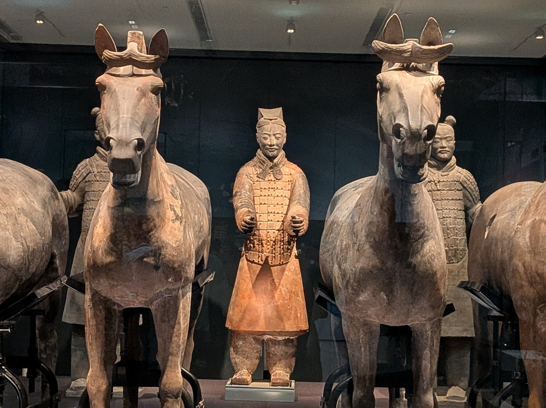 China Tours-西安市必去景点