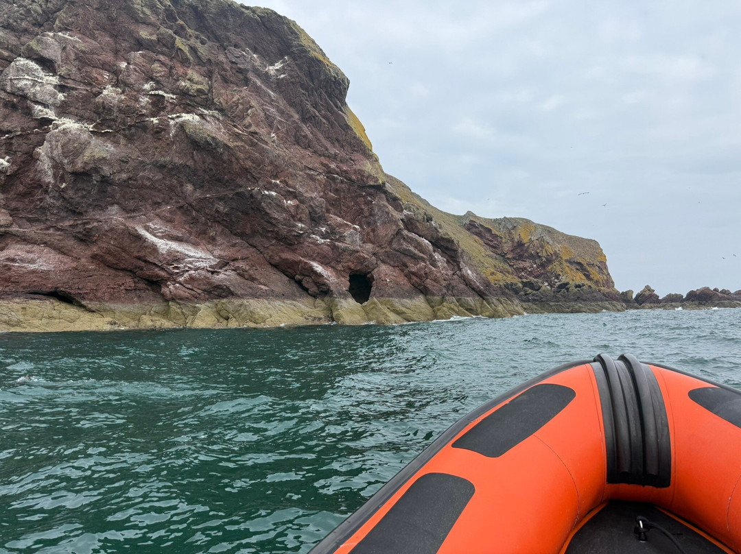 Eyemouth Rib Trips-Eyemouth必去景点