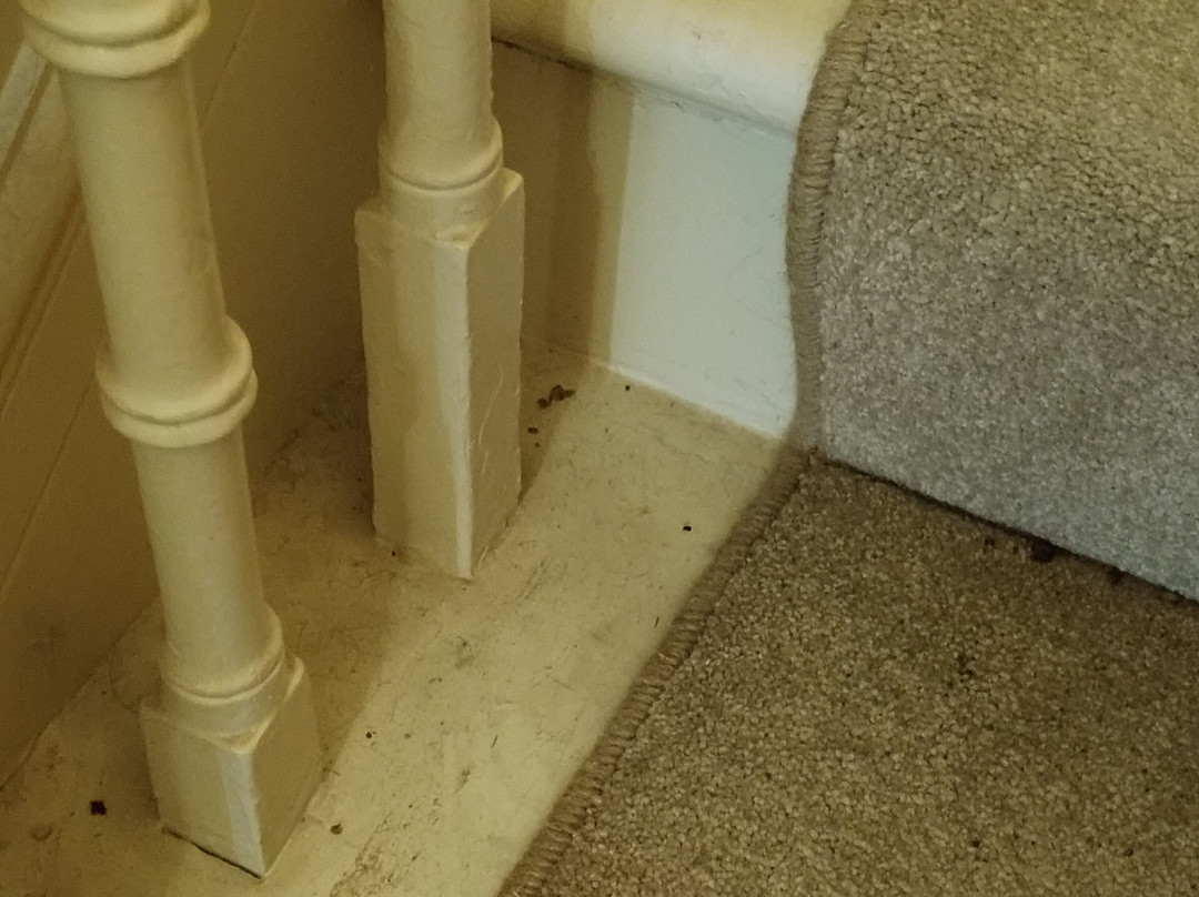 Host & Stay - Milton Street Apartments