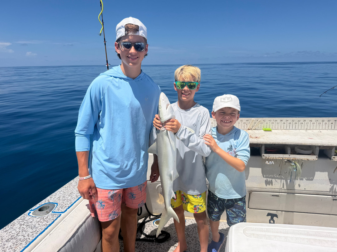 Paradise Fishing Charters-Cape Haze必去景点