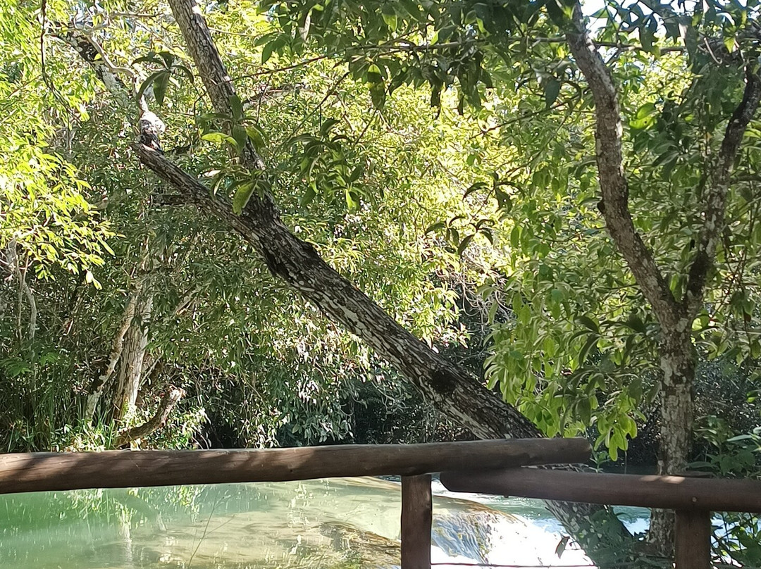 Parque Ecológico Rio Formoso-博尼图必去景点
