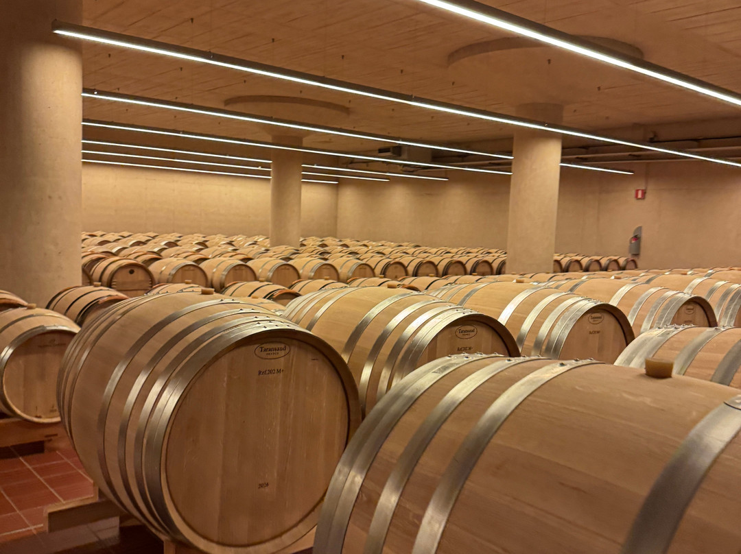 Pago de Carraovejas Winery-Penafiel必去景点