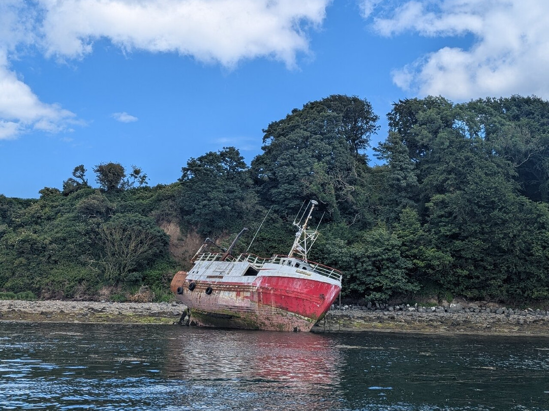 Strangford Boat Excursions-Strangford必去景点