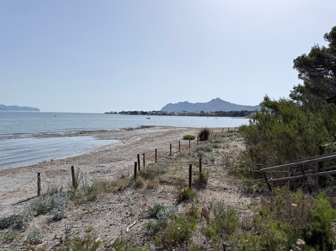 Mallorca Bike Hire-波连萨必去景点