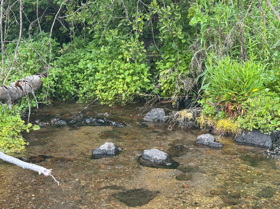 Jackson F. Kimball State Recreation Site-Chiloquin必去景点