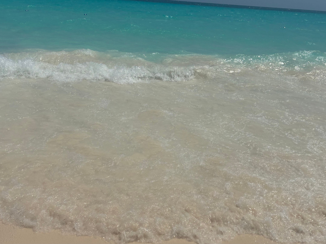 Sting ray Adventure-Little San Salvador Island (Half Moon Cay)必去景点
