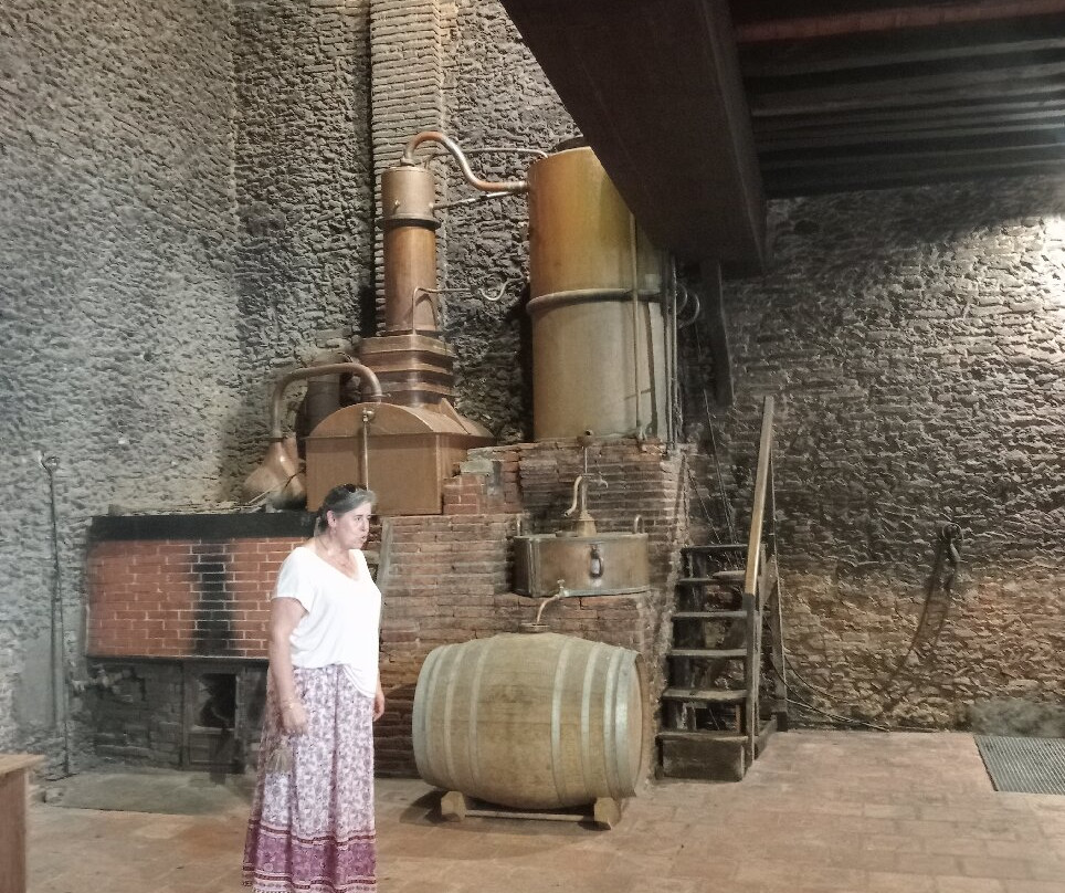 Domaine d'Ognoas-Arthez-d'Armagnac必去景点