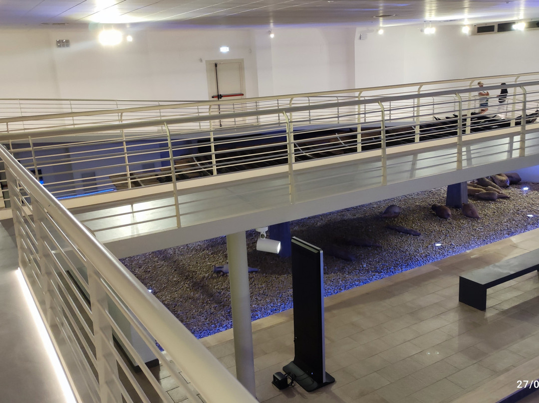 Museo Delle Navi Romane Fiumicino.-菲乌米奇诺必去景点