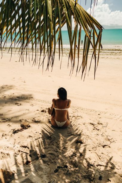 Carneiros Paradiso-旅行者