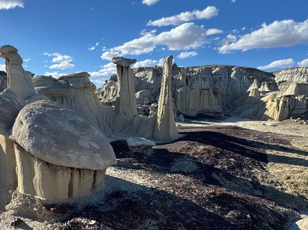 Navajo Tours USA-Nageezi必去景点