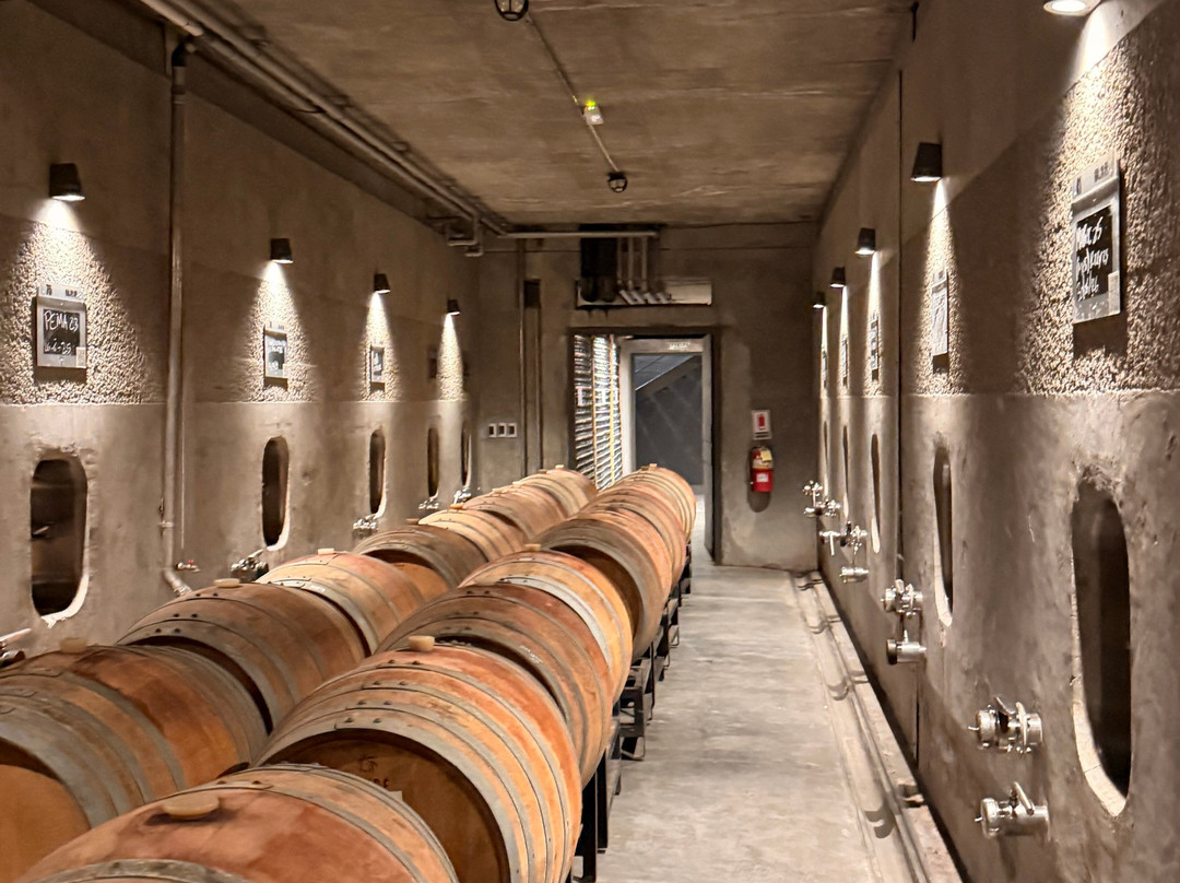 Pulenta Estate Winery-阿格雷洛必去景点