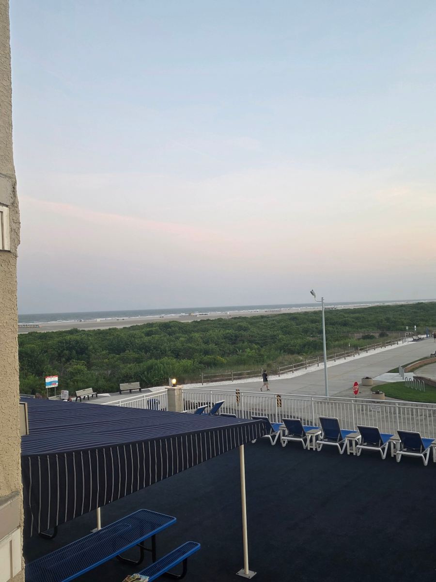 阿尔玛达海滨酒店-旅行者