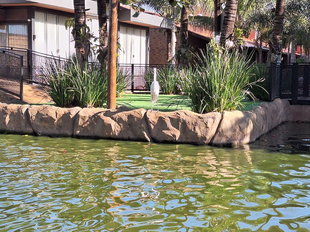 Carpe Diem Eco Resort 奥林匹亚主图