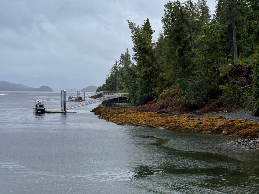 Hump Island Oyster & Kelp Farm with Tasting-凯奇坎必去景点