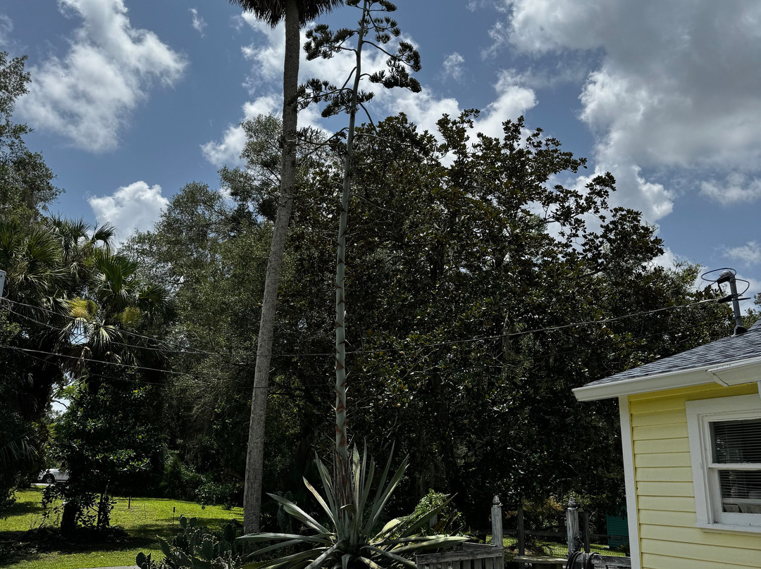 Cassadaga Spiritualist Camp-Cassadaga必去景点