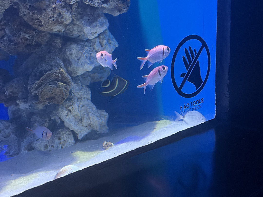 AquaRio-里约热内卢必去景点