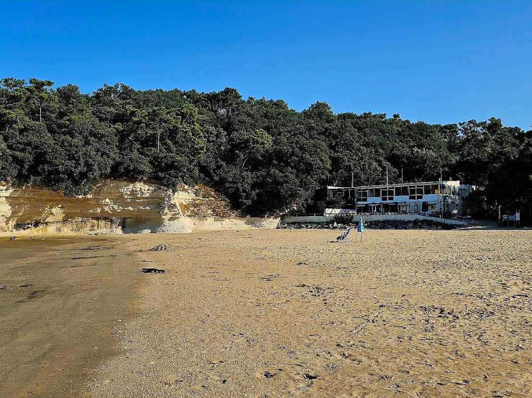 Plage De Suzac-Meschers-sur-Gironde必去景点