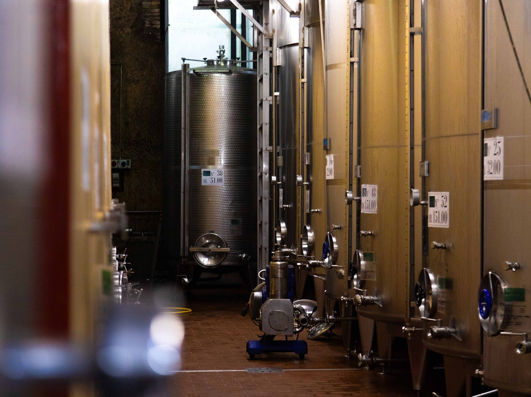 Cantina Castello di Torre in Pietra-Torrimpietra必去景点