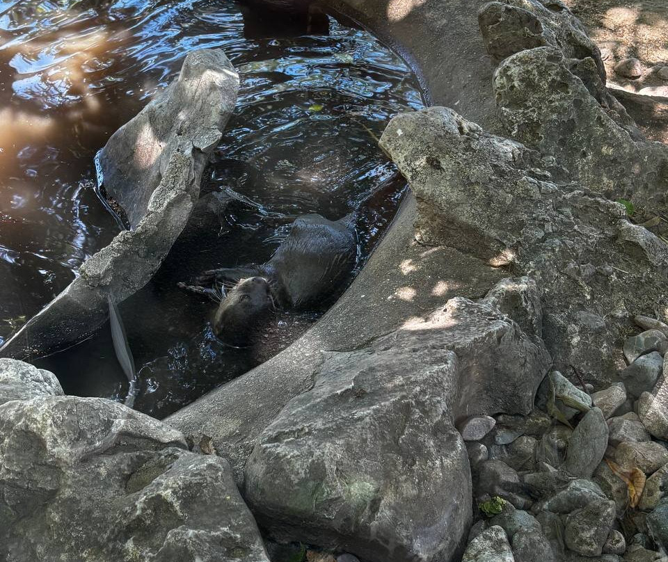 Belgrade Zoo-贝尔格莱德必去景点