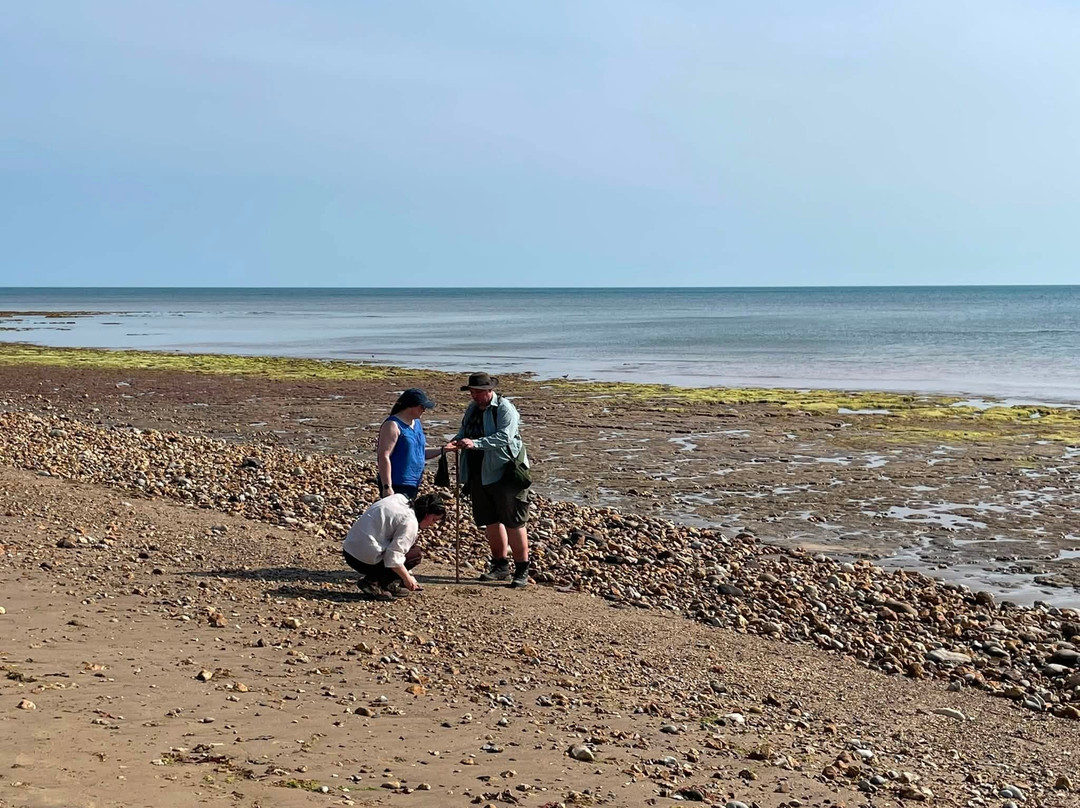 Dinosaur Expeditions CIC-Brighstone必去景点