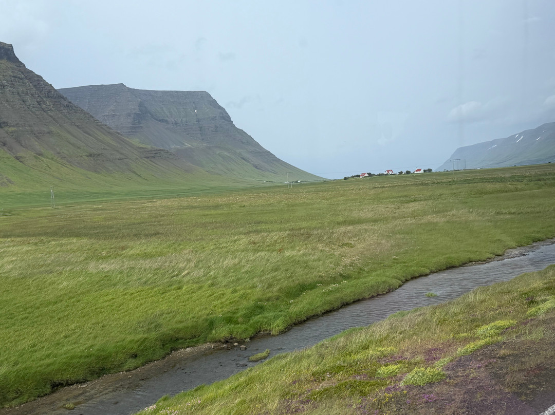 Wild Westfjords-伊萨菲厄泽必去景点