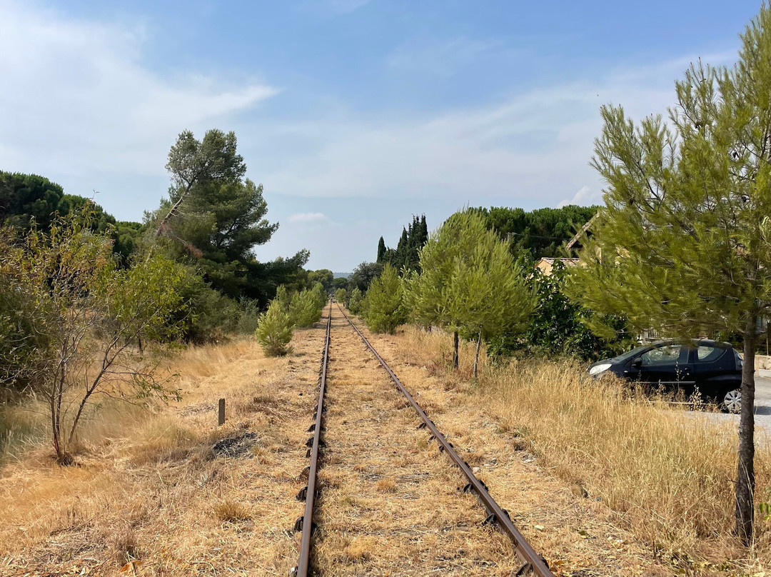 Vélorail Du Canal Du Midi-Salleles-d'Aude必去景点