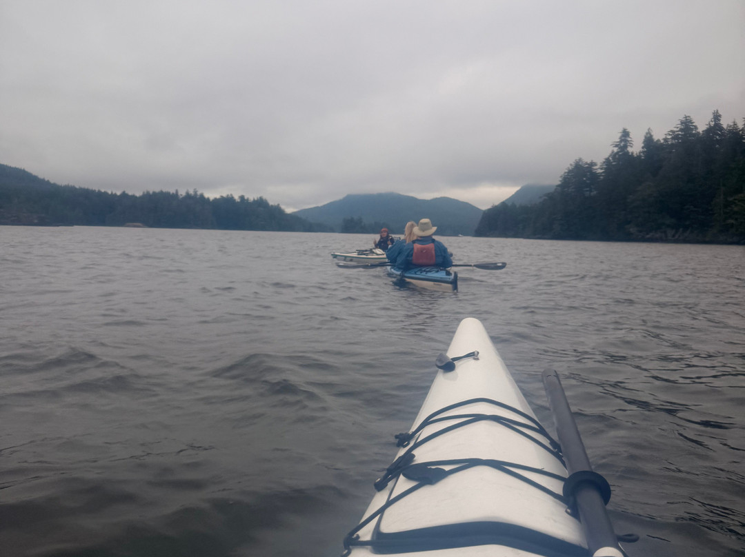 Tofino Sea Kayaking Day Tours-托菲诺必去景点
