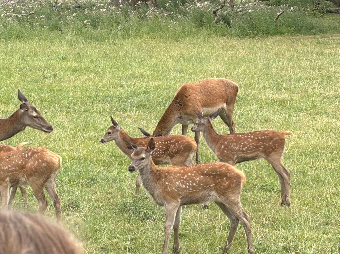 Lotherton-Aberford必去景点