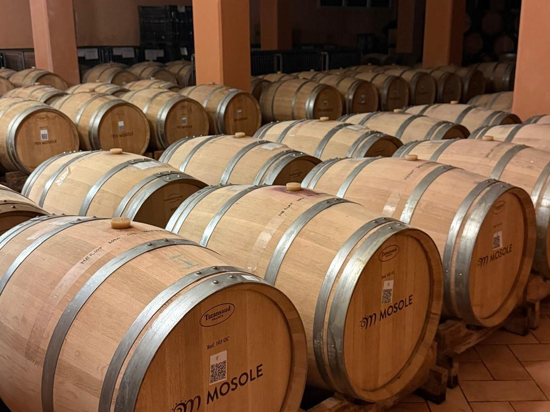Tenuta Mosole-San Stino di Livenza必去景点