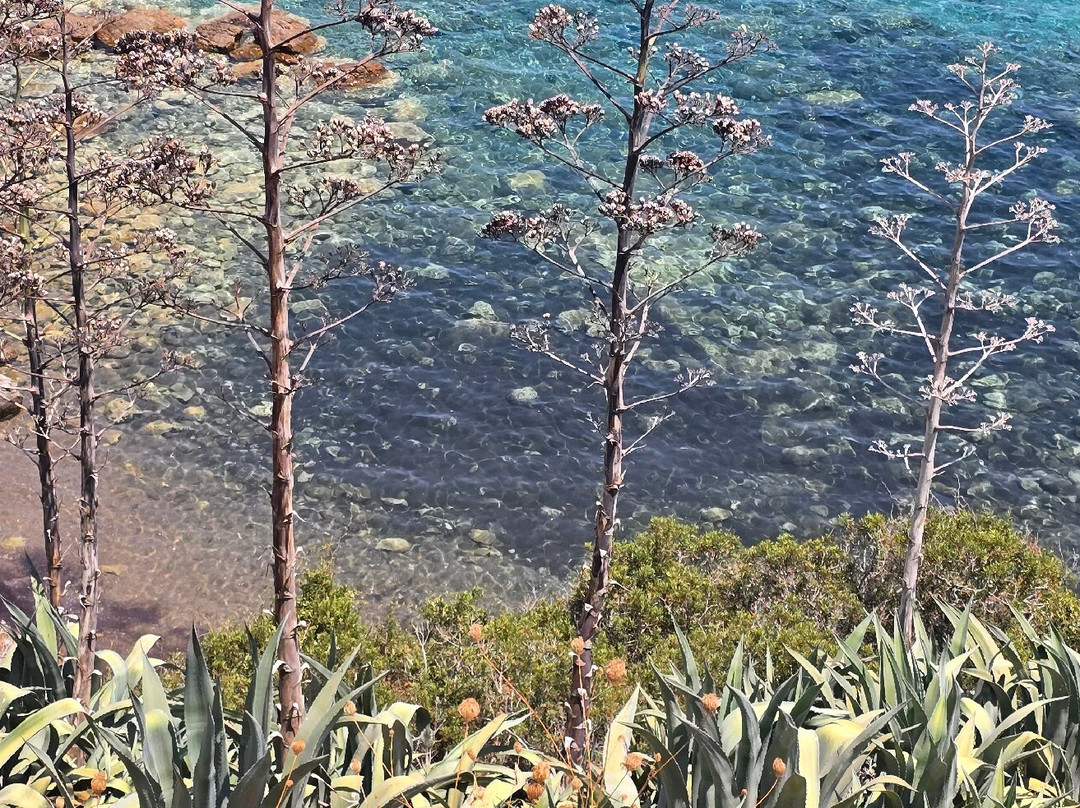 Baths of Aphrodite-Neo Chorion必去景点