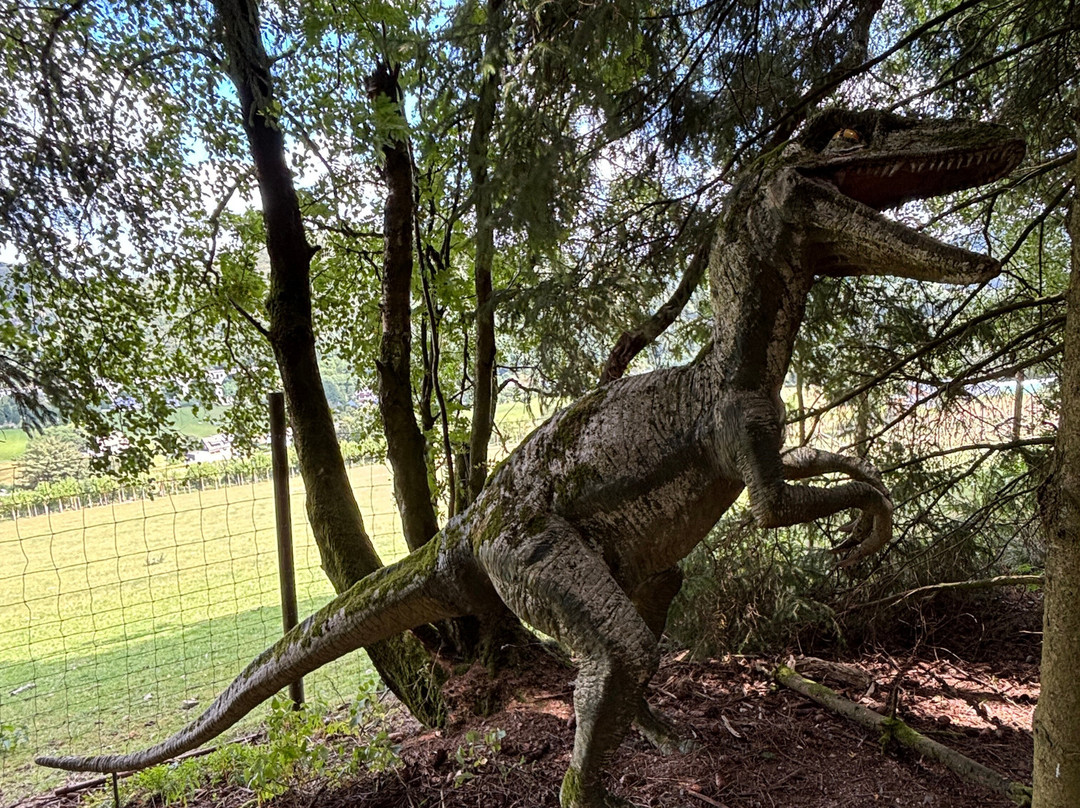 Wild- und Freizeitpark Willingen-Willingen必去景点