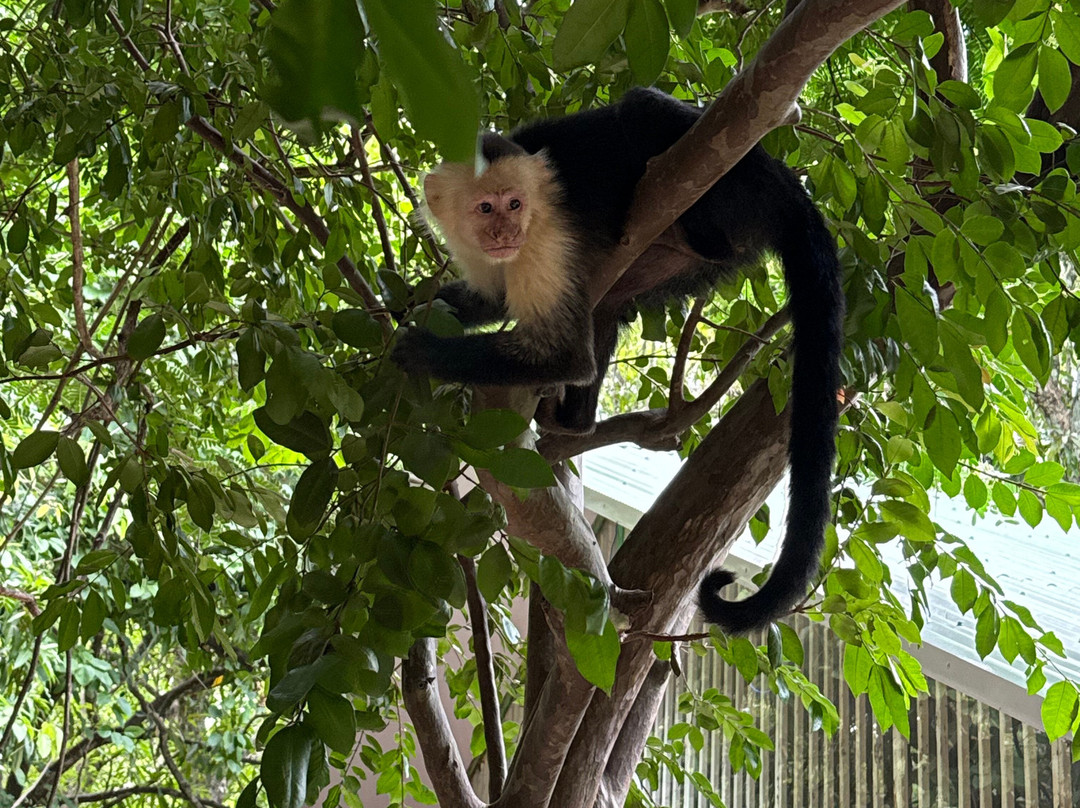 Issys Tours Costa Rica-萨迪纳尔必去景点