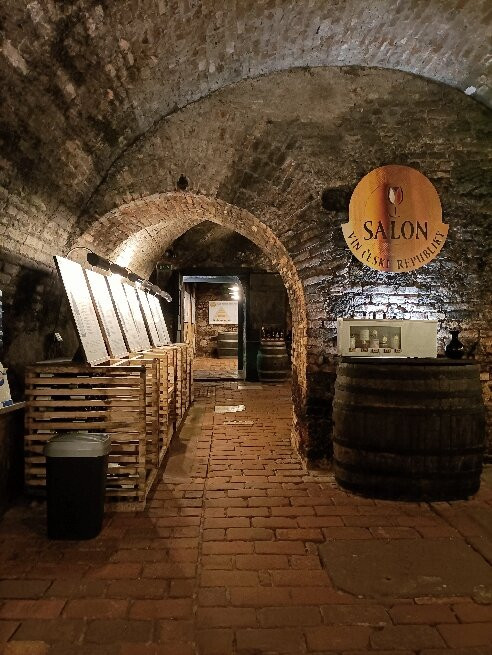 National Wine Salon (Národní salon vín)-Valtice必去景点