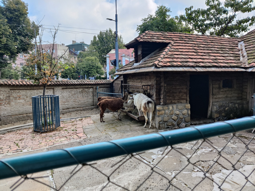 Belgrade Zoo-贝尔格莱德必去景点