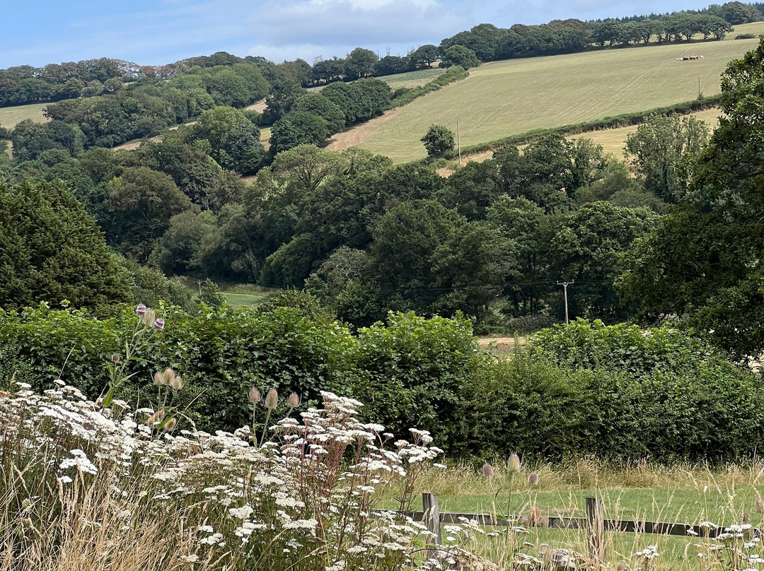 Alder Vineyard-Lewdown必去景点