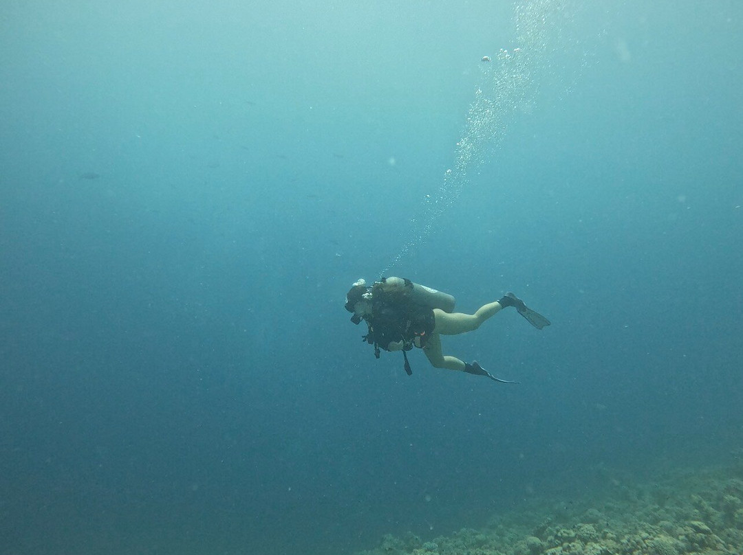 Aquarius Diving Club-马卡迪湾必去景点
