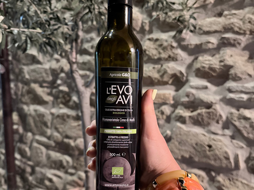 Amoreolio Museo dell'olio di Colobraro-Colobraro必去景点