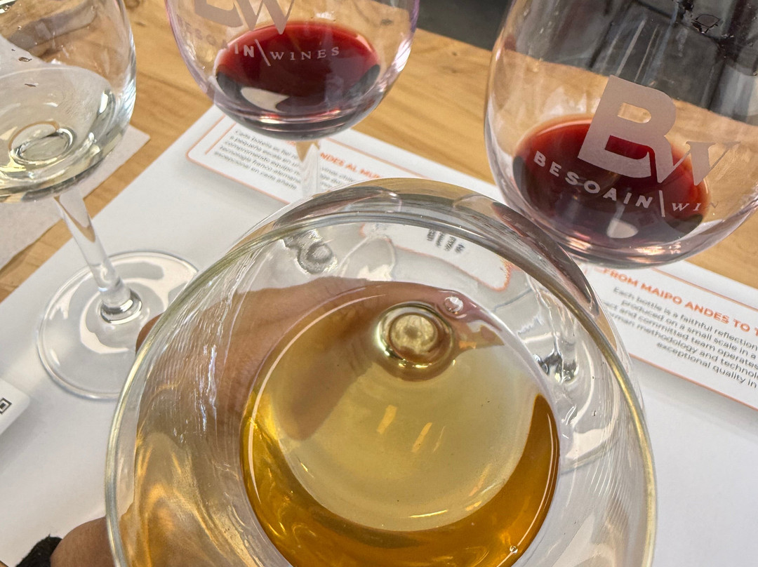 Besoain Wines-Pirque必去景点