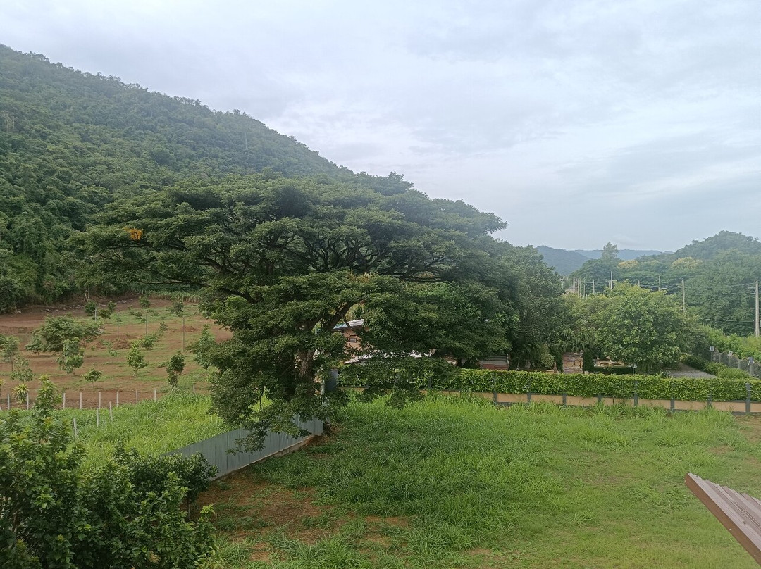 Ban Petch Phuang Khao Yai