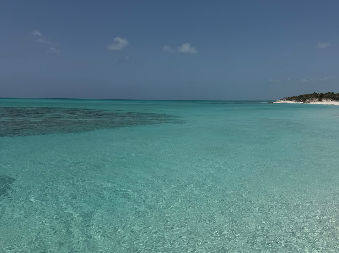 Paradise Luxury Charters-Turtle Cove必去景点